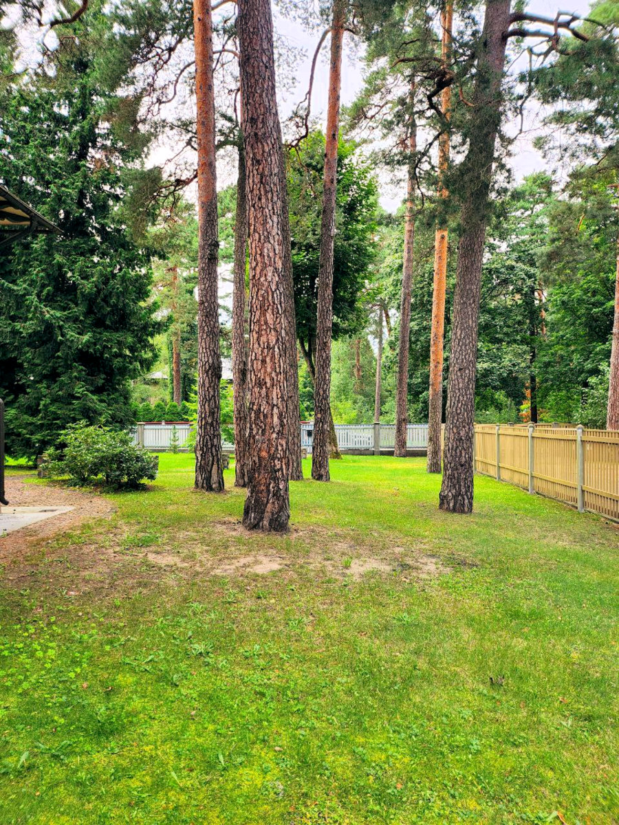 savrupmāja Mežaparkā / villa in Mežaparks