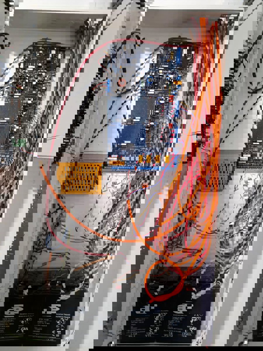 Professional Service Description