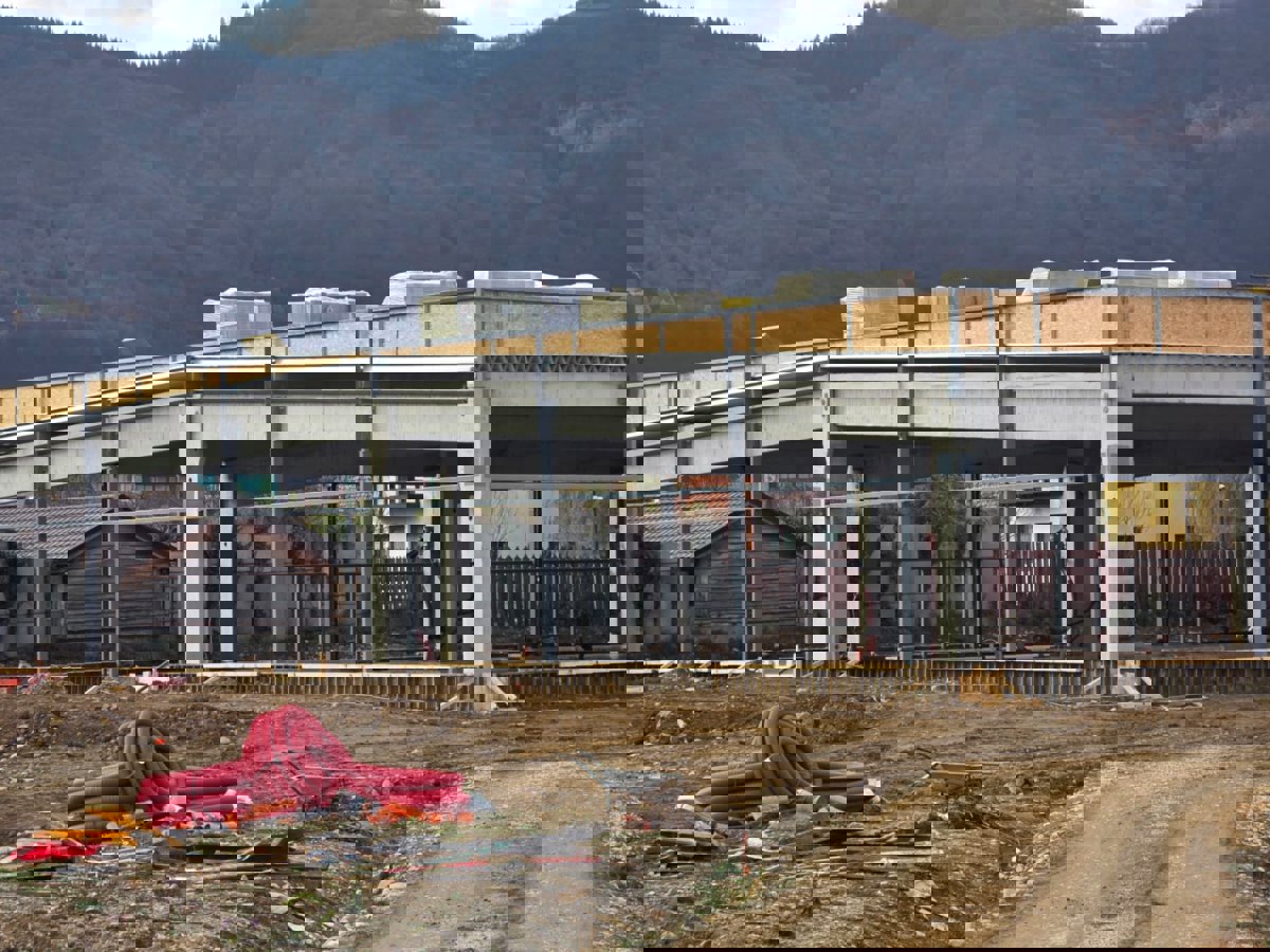 Professional Service Description