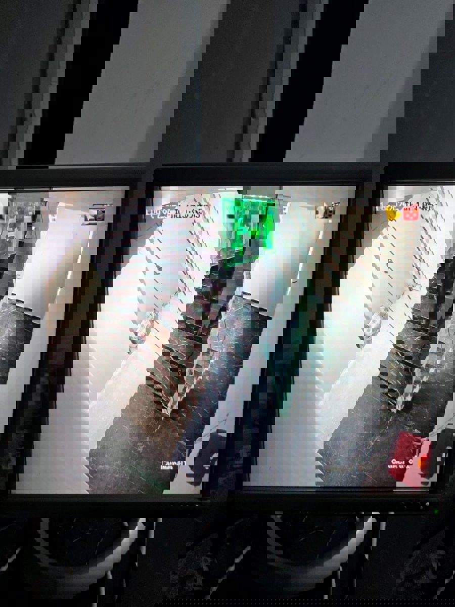 Professional Service Description