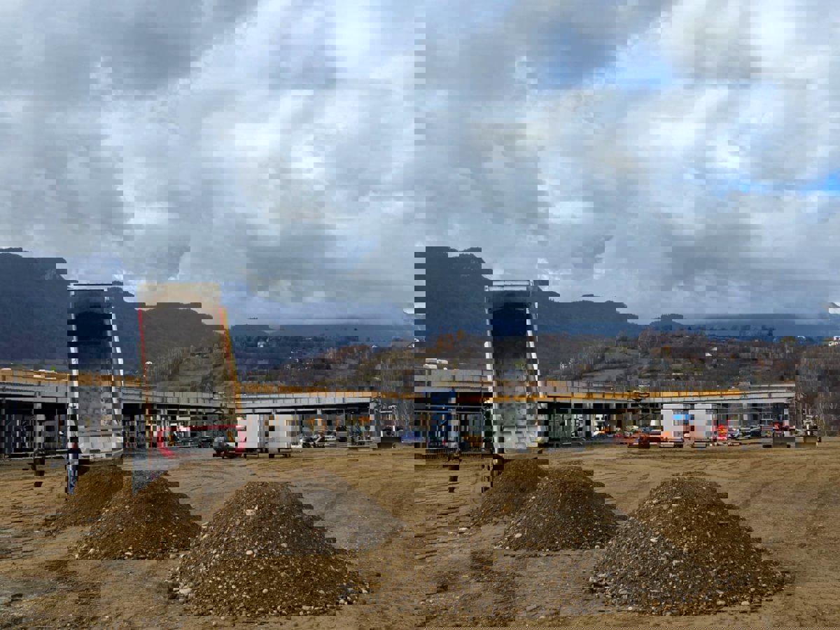 Professional Service Description