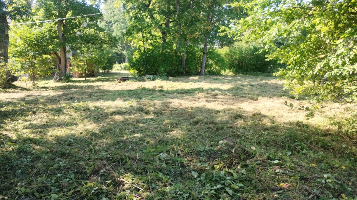 Pļaušana un stādīšana Kurzemē: Divi vīri ar savu tehniku (25 EUR/h)