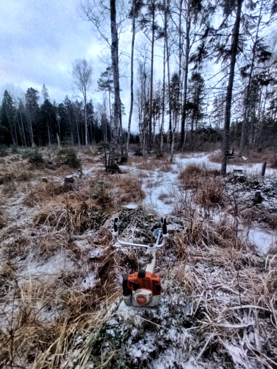 Pļaušana un stādīšana Kurzemē: Divi vīri ar savu tehniku (25 EUR/h)