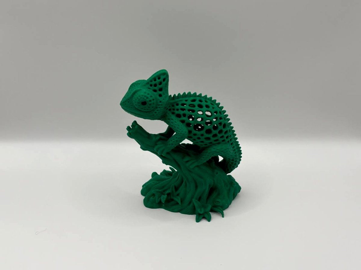 🦎Хамелеон