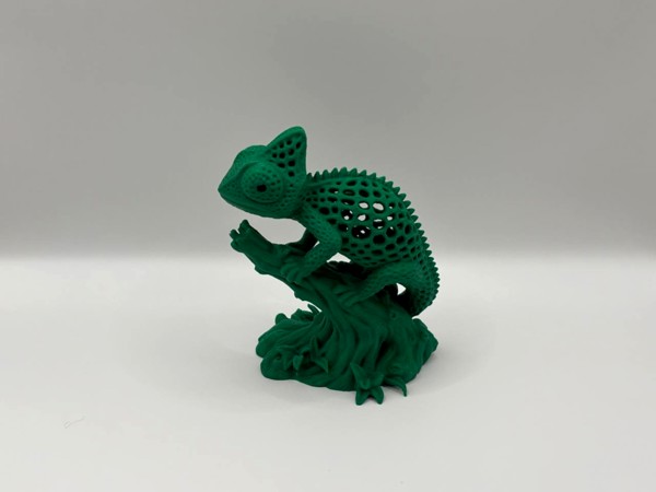 🦎Хамелеон