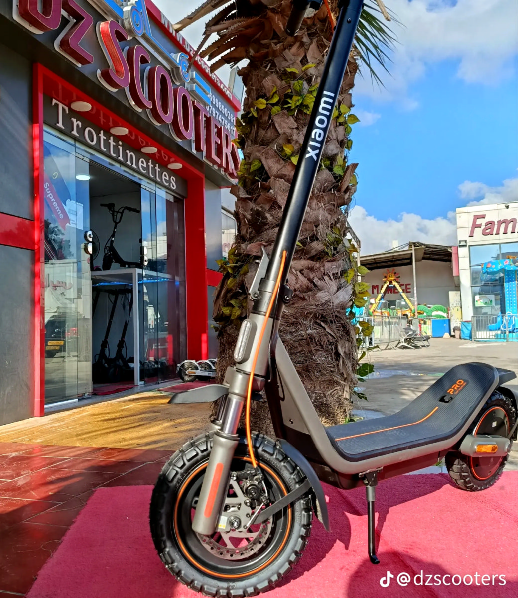 Scooter électrique 