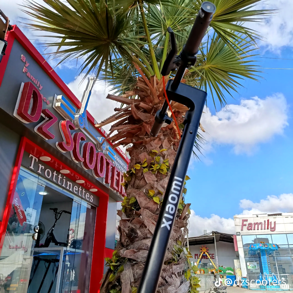 Scooter électrique 